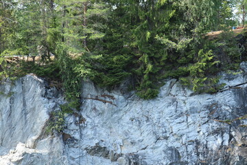 Mountain,rocks, coniferous trees, pine in the reserve, Karelia, Russia