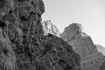 Rock Canyon. Looking up. Black and white. Ras Al Khaimah, Wadi Naqab.