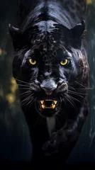 Keuken spatwand met foto A wild angry dangerous walking black panther head close-up shot © Magdalena Wojaczek