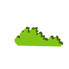 Abstrack Cartoon Bush 