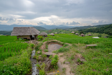 Rice terrace Pa Bong Piang Rice Terraces in Mae Chaem, Chiang Mai, Thailand. Beautiful mountain with rice terraces. The village is in a valley.