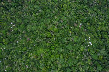 Beautiful aerial view of the Costa Rica Rainforest in the Talamanca Region