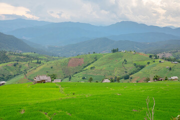 Obraz premium Rice terrace Pa Bong Piang Rice Terraces in Mae Chaem, Chiang Mai, Thailand. Beautiful mountain with rice terraces. The village is in a valley.