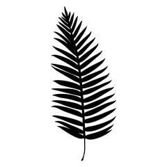 Palm tree leaf silhouette. Vector illustration