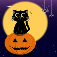 Black cat and Halloween pumpkin with spider. Halloween event concept vector. Isolated on white background. The cute kitty see and scary spider.