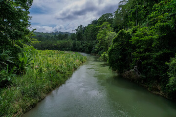 Naklejka na ściany i meble Beautiful aerial view of the Costa Rica Rainforest in the Talamanca Region
