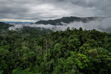 Beautiful aerial view of the Costa Rica Rainforest in the Talamanca Region