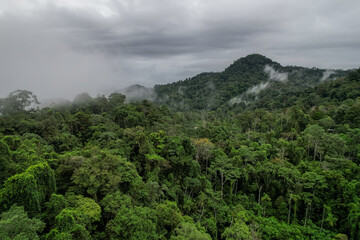 Obraz premium Beautiful aerial view of the Costa Rica Rainforest in the Talamanca Region