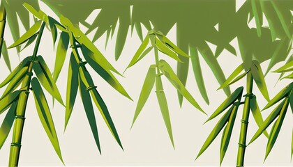 bamboo forest and white background