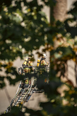 firefighter put out the fire