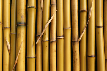 Many bamboo stalks on background. generative ai