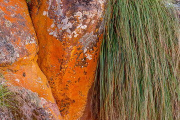 orange and yellow rock texture