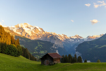 Chalets and farmhouses on grassy hillsides with snow covered mountains of the Swiss Alps in the...
