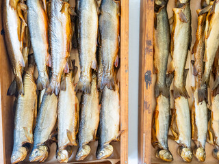 Fototapeta premium Trays of smoked trout and smoked salmon at a fish market