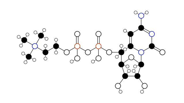 citicoline molecule, structural chemical formula, ball-and-stick model, isolated image cytidine diphosphate-choline