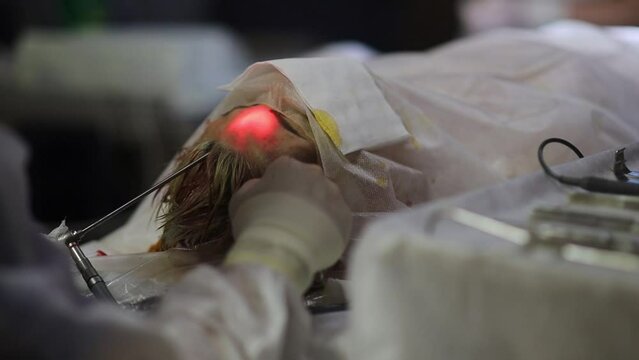 plastic surgery endoscopic facelift in the operating room, rejuvenation in surgery