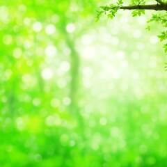 Fototapeta na wymiar blur natural green beautiful forest abstract background