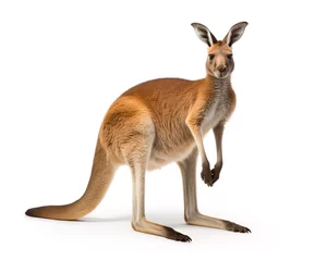Deurstickers kangaroo in a background © Andrey