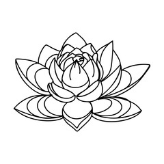 Lotus flower continuous line drawing
