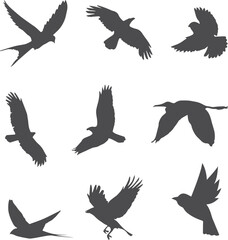 set of birds vector art element design, bird, vector, silhouette, animal, illustration, flying, nature, icon, pattern, set, fish, birds, art, design, symbol, sea, dove, seamless, shark, swallow, wing