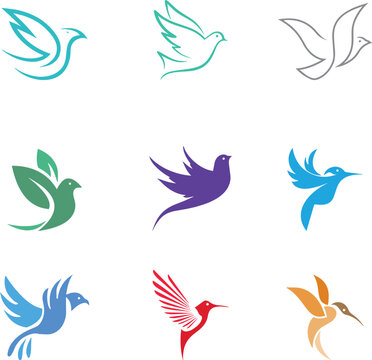 set of birds vector art design, vector, icon, illustration, bird, logo, design, symbol, water, wave, silhouette, set, nature, animal, sign, pattern, art, shape, flying, cartoon, floral, sea, business