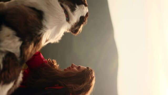 Back view of pretty young woman with a dog saint bernard sitting on the peak and looking at a beautiful mountains view together Animals and human friendship. High quality 4k footage