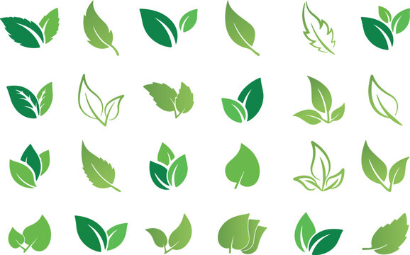 set of green leaf vector icon element, leaf, nature, plant, vector, green, icon, tree, design, illustration, eco, set, pattern, spring, ecology, floral, natural, symbol, branch, leaves, summer, eco