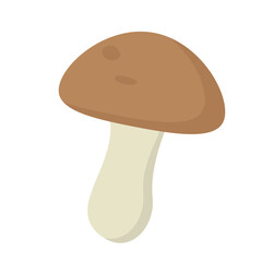 Forest mushroom. Autumn toadstool, fungi organism, autumn harvest vector illustration