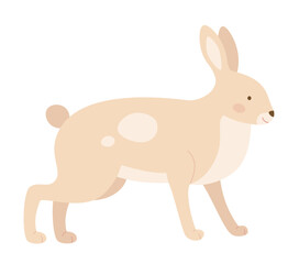 Fototapeta na wymiar Forest animal hare. Wildlife rabbit, forest fauna, woodland animals vector illustration