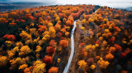 A breathtaking aerial view of a picturesque autumn landscape, covered in a carpet of colorful leaves Generative AI