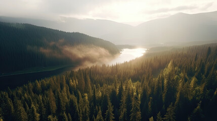 Aerial view of a lake surrounded by forest in the fog.