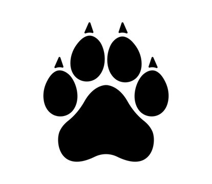 Paw icon. Cat, dog paw icon. Zoo, vet logo element. Paw with claws. Paw print vector symbol.