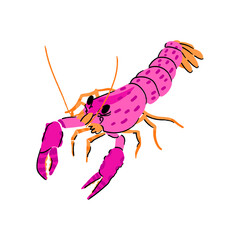 Ocean pink lobster crayfish isolated on white background. Sea tropical animal flat vector illustration