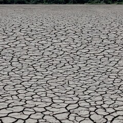 Dry land due to global warming