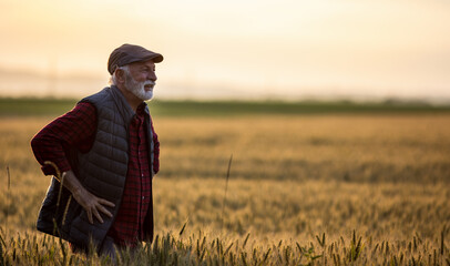 Satisfied farmer in wheat field in early summer