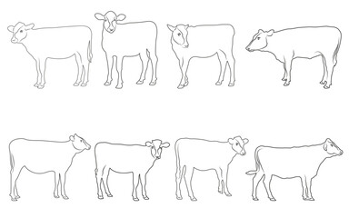 cow out line vector illustration