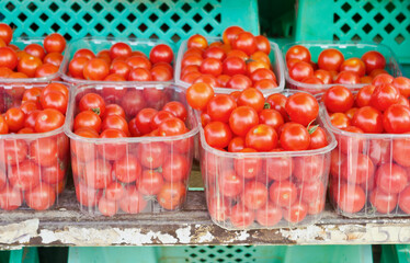 Small red tomatoes in plastic boxes for sale at farmers market.