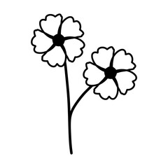 Illustration of flower lineart