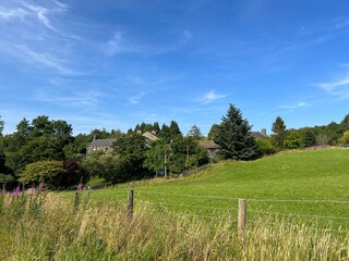 Rural scene, on a late summers day , with fields, houses, old trees, and a blue sky near, Slack Lane, Delph, UK