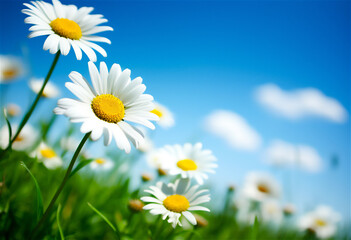 Sunlit Field with Daisies - AI-Generated Photo-Realistic Landscape