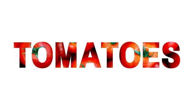 Inscription (text) "TOMATOES" made of photo of tomato appears on a white background from red and orange gradient, 2d 4k animation