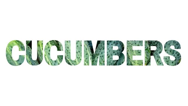 Inscription (text) "CUCUMBERS" made of photo of cucumbers appears on a white background from green and yellow gradient, 2d 4k animation