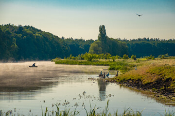Summer scenery fisherman in a boat on a misty river at dawn ducks on the water