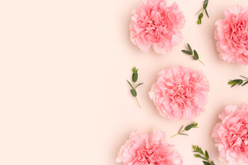 Pink carnation flowers and eucalyptus branches on a beige background.