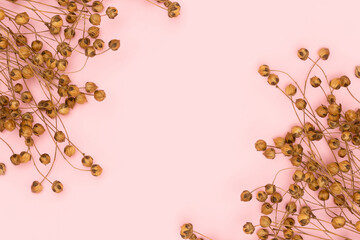 Frame made of dried flax flowers on a pink background. Selective focus.
