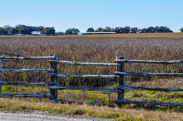 Fototapeta premium Homemade fence on a cattle farm.