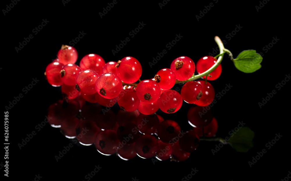 Canvas Prints Red currant berry isolated on black background, close up. Fresh and juicy organic redcurrant berries macro shot. Tasty vegan food