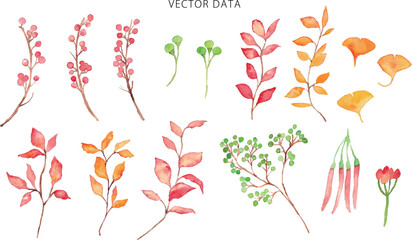 水彩画。水彩タッチで描いたカラフルな秋の紅葉イラスト。紅葉した葉っぱの背景。植物フレーム。Watercolor painting. Colorful autumn leaves illustration with watercolor touch. Autumn leaves background. Plant frame.