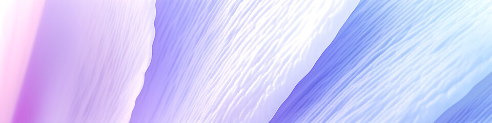 Obraz premium Macro shot of a purple white petal, flower, blossom, stamen, stigma, anther, filament. Pattern and texture of petals for background banner