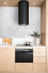 household appliances at contemporary kitchen with wood furniture and grey wall